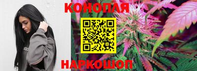 гидра Краснодар