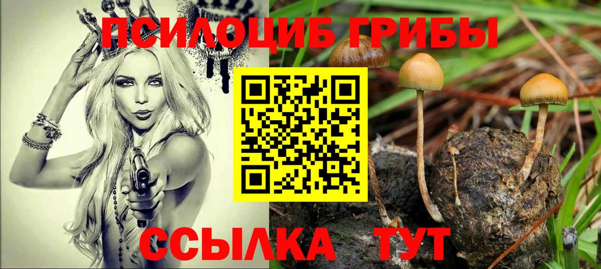Камень-на-Оби  Галлюциногенные грибы прущие грибы  Вход с VPN  Галлюциногенные грибы ЛСД 